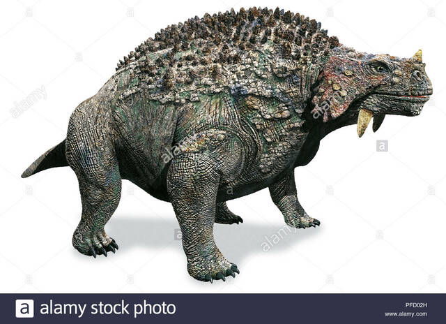 L'evoluzione in Scutosauri