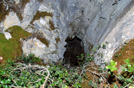 Εφηβικά του χρόνια