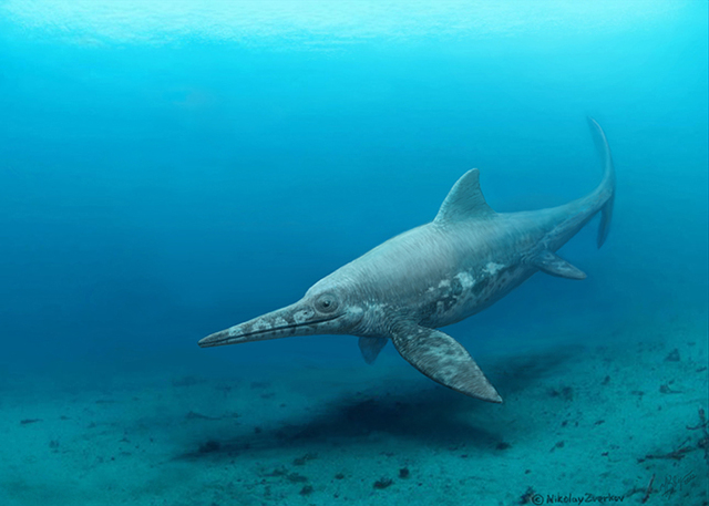 L'arrivo dell'Ittiosauro