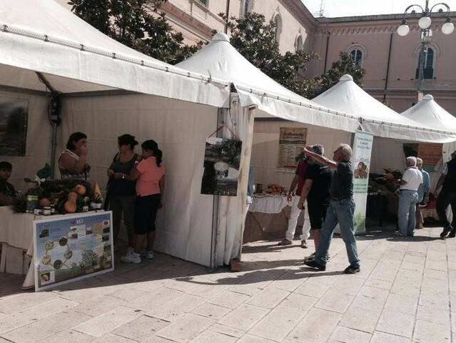 SECONDO ANNO-STAND PUBBLICIZZAZIONE SCUOLA
