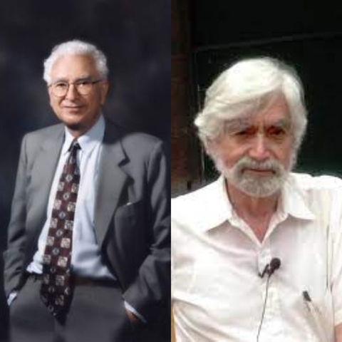 Murray Gell-Mann y George Zweig