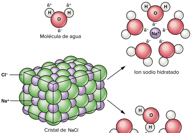 Teoría de la disociación iónica
