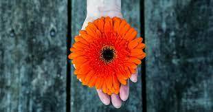 LA TERAPIA CONTEXTUAL