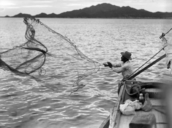 México presentó una alza en la exportación de peces.