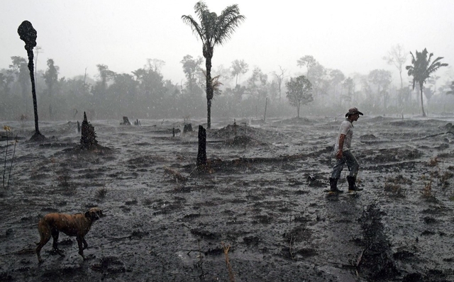 Se presenta el mas grande porcentaje de recursos no maderables en México