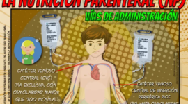 Timeline: Nutrición parenteral