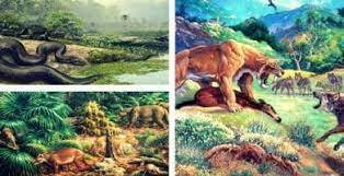 65 milioni di anni fa: INIZIO CENOZOICO