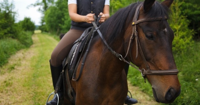 La primera vegada que vaig muntar a cavall