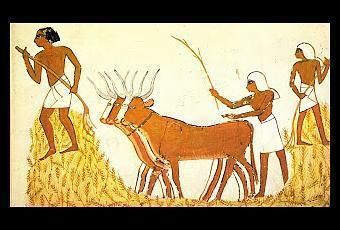 Salud Ocupacional - En Grecia