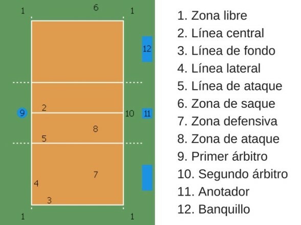 Modificaciones y llego el voleibol a Uruguay
