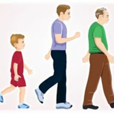 Timeline: Etapas del desarrollo humano