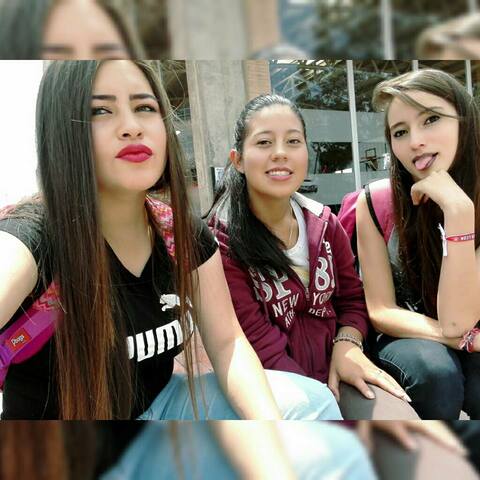 Ingreso a la universidad