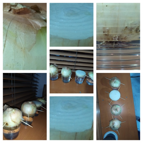 Empezamos el experimento