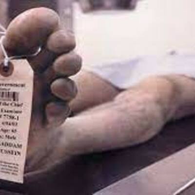 Timeline: Fenómenos Cadavéricos.