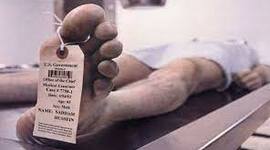 Timeline: Fenómenos Cadavéricos.