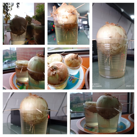 Algunos días después hay algunos cambios