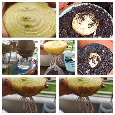 Ya las pasamos a tierra