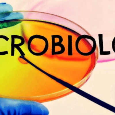Timeline: Desarrollo histórico de la microbiología