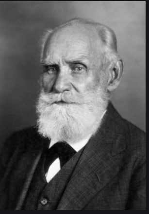 Funcionaria como indicios sobre el planteamiento de los reflejos