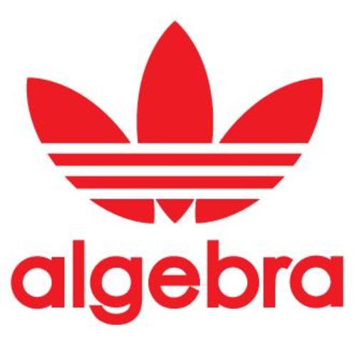 Mr. Yip's Class Photos