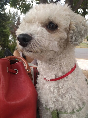 Llega a un ser super importante en mi vida.