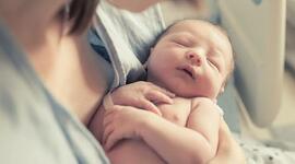 Timeline: Child Bearing