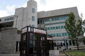 Declaracion del caso