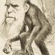 Reirse de darwin