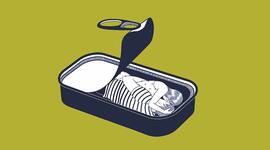 Timeline: Normal people/ Timeline