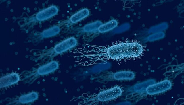 Formazione delle prime forme di vita microscopiche