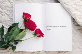 Primera vegada que no es celebra Sant Jordi