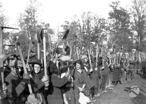 Inizia la "bonifica integrale"