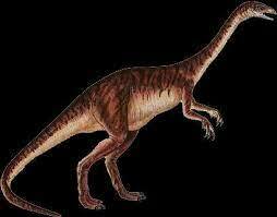I primi dinosauri