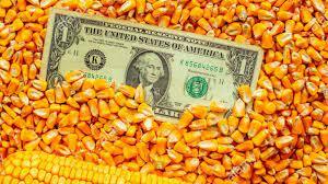 Publicación De la exportación y la importación de los granos