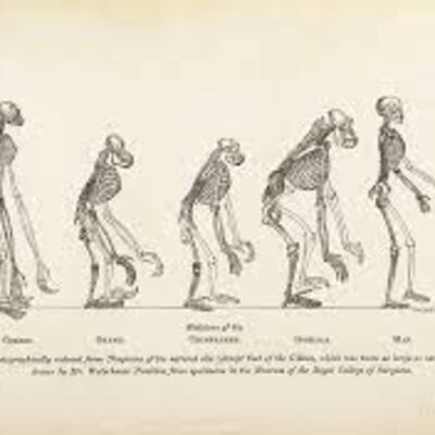 Timeline: El largo proceso de hominización ,el neolítico y la migración poblacional