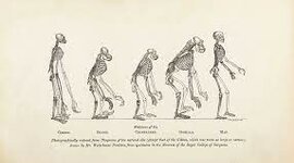 Timeline: El largo proceso de hominización ,el neolítico y la migración poblacional