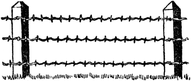 Barbed Wire