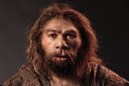 Homo sapiens