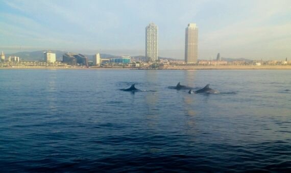 Baix nivell de contaminació degut al confinament (climàtic)