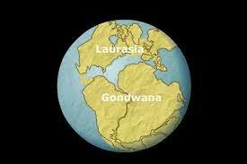 460 milioni di anni fa: NUOVO CONTINENTE - GONDWANA