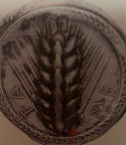 Introduzione della moneta