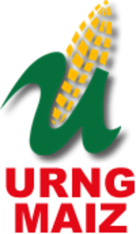 Foundation of Guatemalan National Revolutionary Unity (URNG)