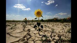 problemes climatics (climatic)