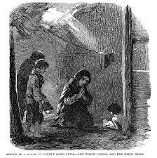 Abolition of  Irish Poor Laws 1838-1925