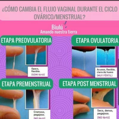 TEMPERATURA BASAL Y SECRECIÓN DEL MUCUS