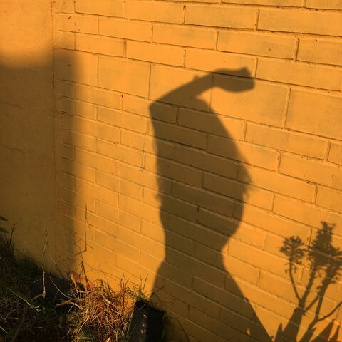 Selección Indianapolis