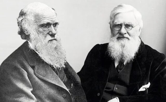 Darwin- Wallace: 1859