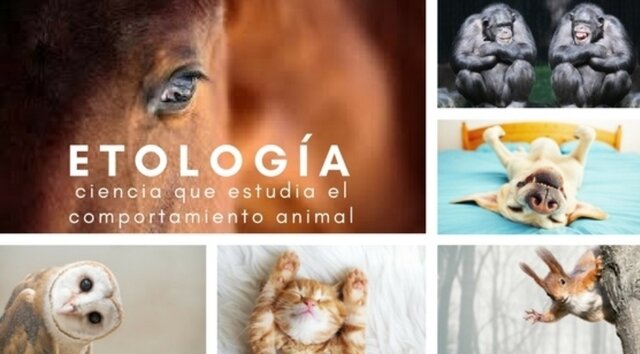 Isodore Geoffroy: 1860