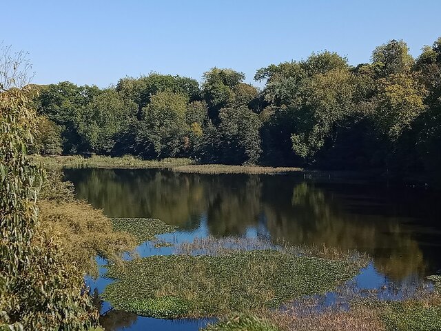Lake Te Koutu
