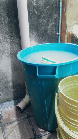 Sistema básico de recolección de agua